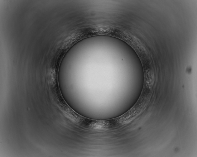 X0000100320563200806121107