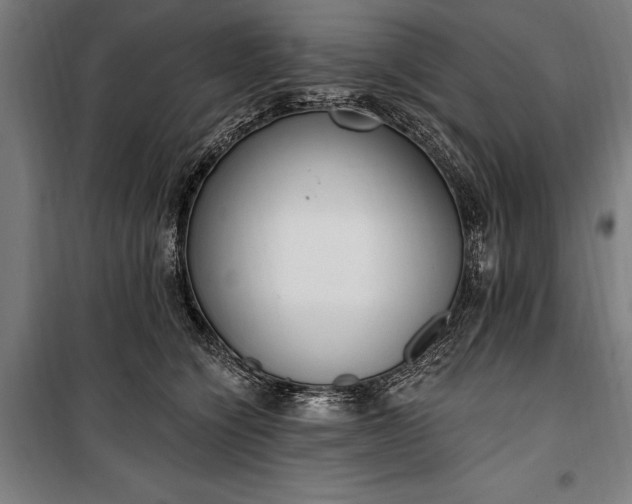 X0000100320564200806121107