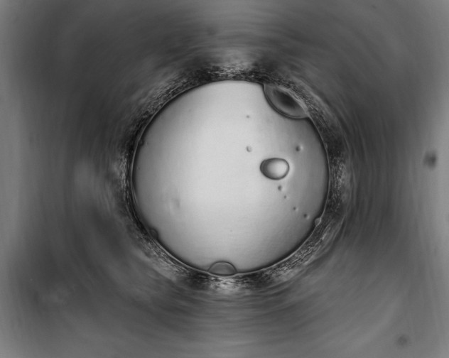 X0000100320565200806121107