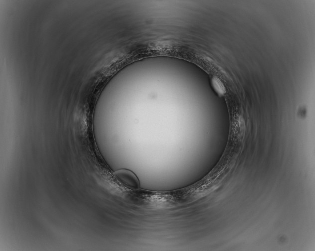 X0000100320566200806121107