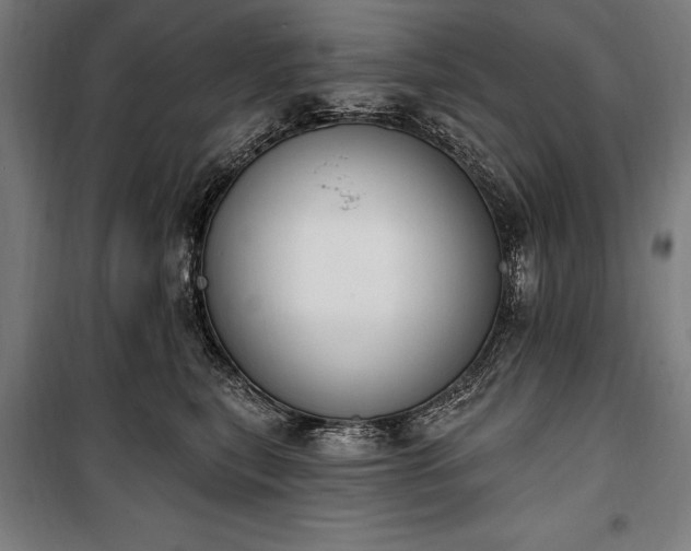 X0000100320567200806121107