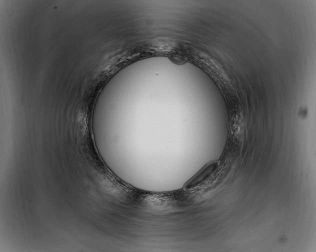 X0000100320568200806121107