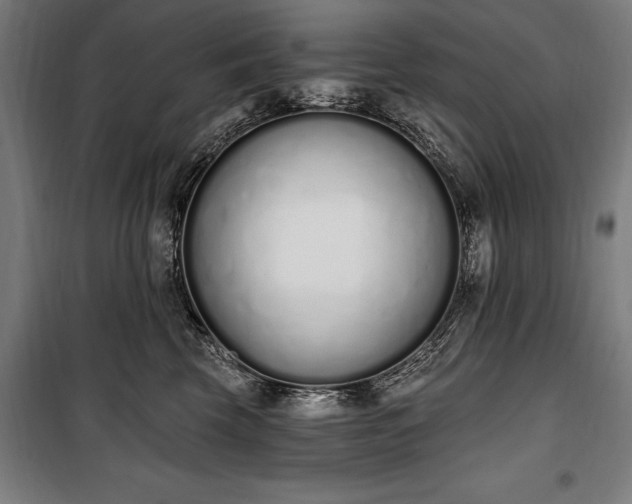 X0000100320569200806121107