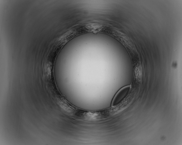 X0000100320570200806121107