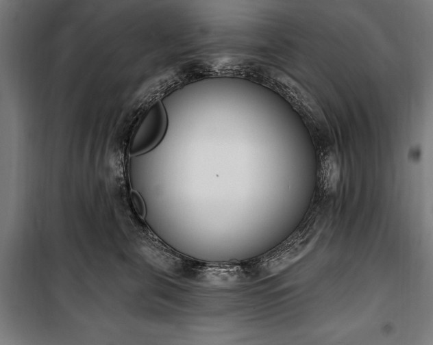 X0000100320571200806121107