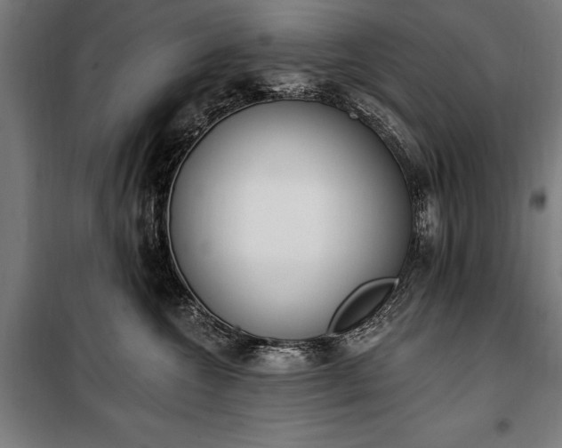 X0000100320572200806121107