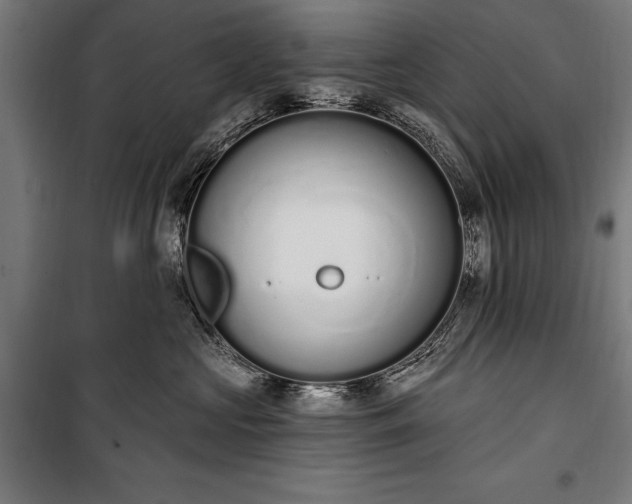 X0000100320573200806121107