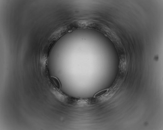 X0000100320574200806121107