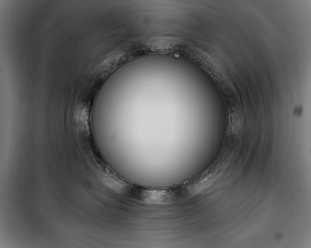 X0000100320575200806121107