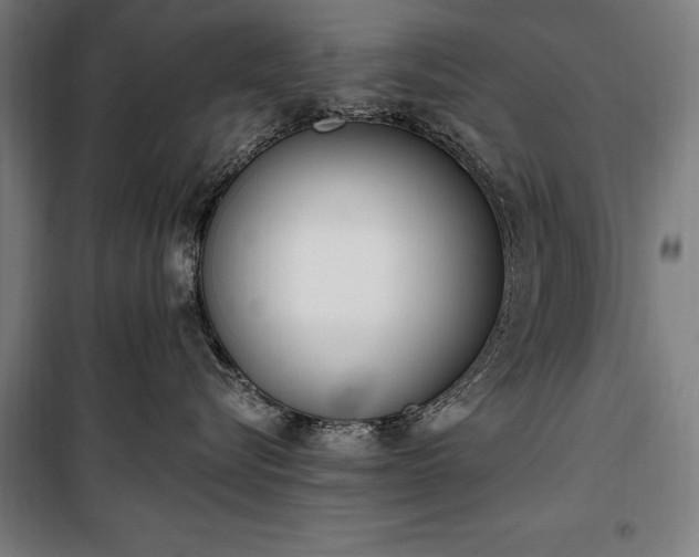 X0000100320576200806121107