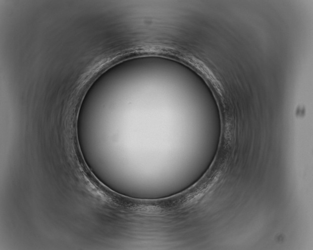 X0000100320577200806121106