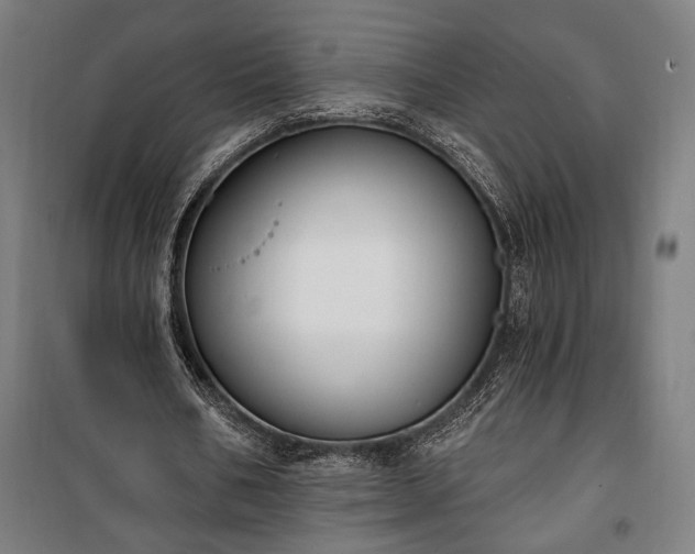 X0000100320578200806121106