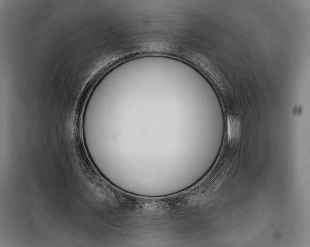 X0000100320579200806121106