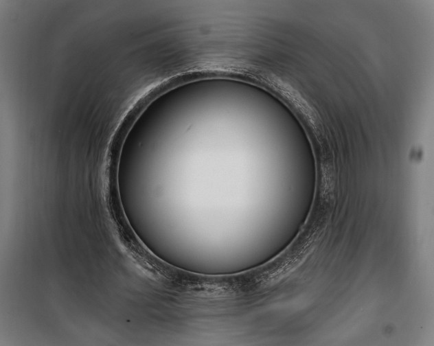 X0000100320580200806121106