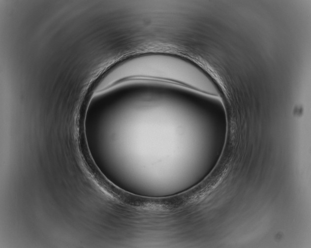 X0000100320581200806121106