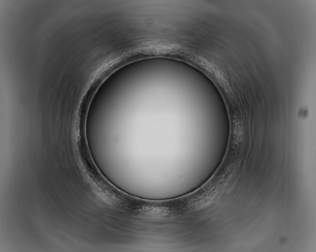 X0000100320582200806121106