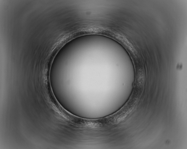 X0000100320585200806121106