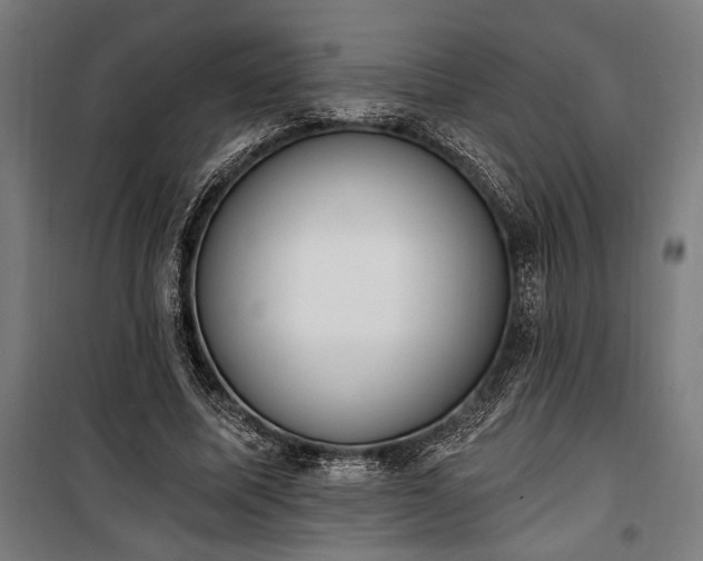 X0000100320587200806121106