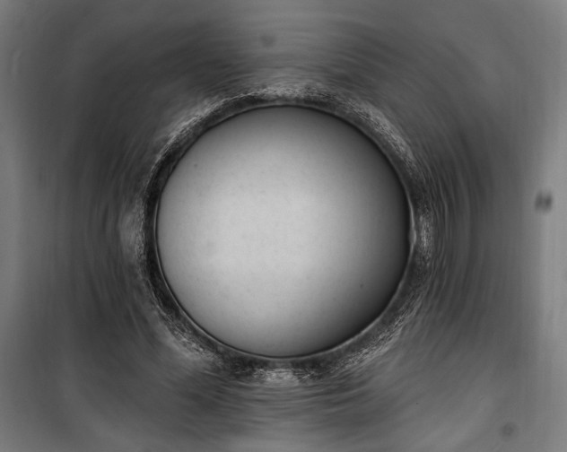 X0000100320588200806121106