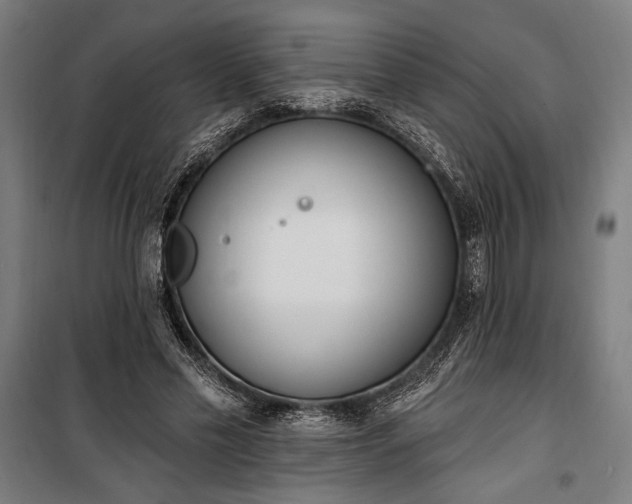 X0000100320589200806121106