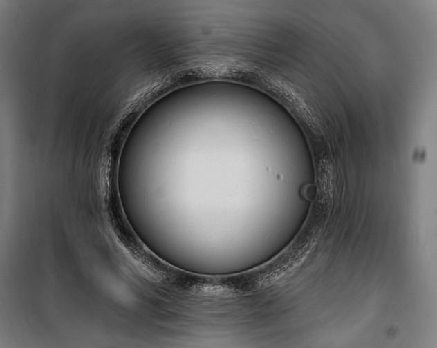 X0000100320590200806121106