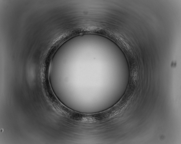 X0000100320591200806121106