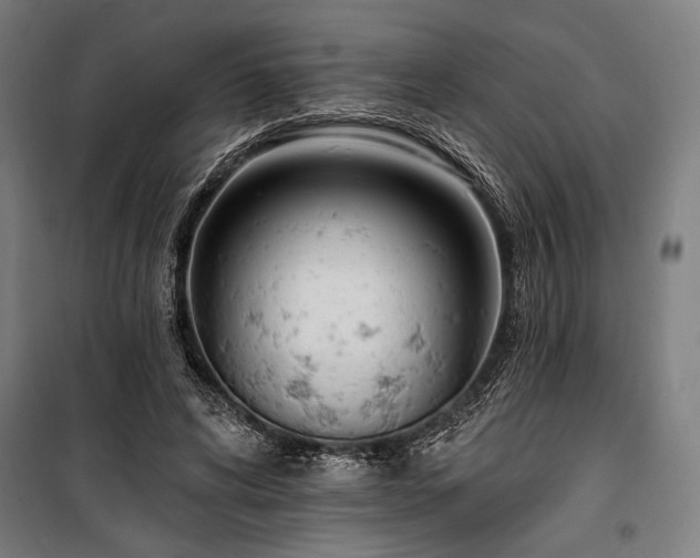 X0000100320592200806121106