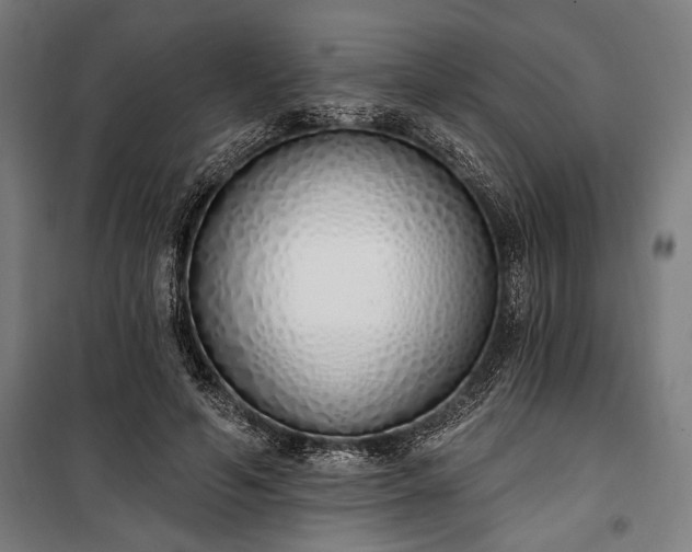 X0000100320594200806121106