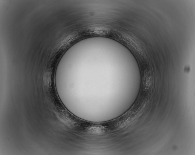 X0000100320595200806121106