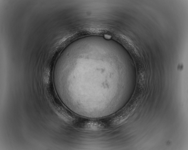 X0000100320596200806121106