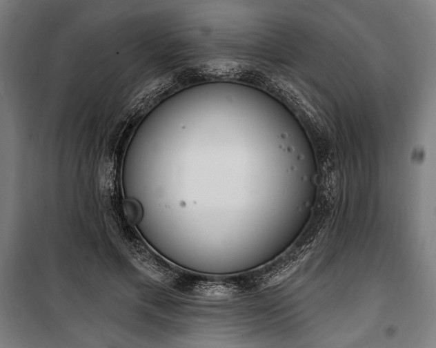 X0000100320597200806121106