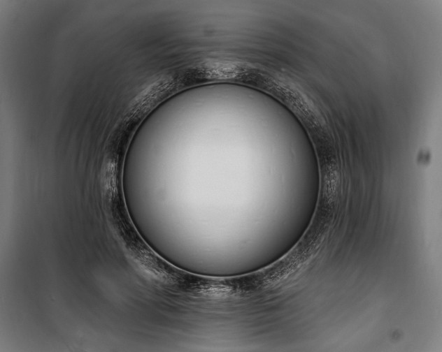 X0000100320598200806121106