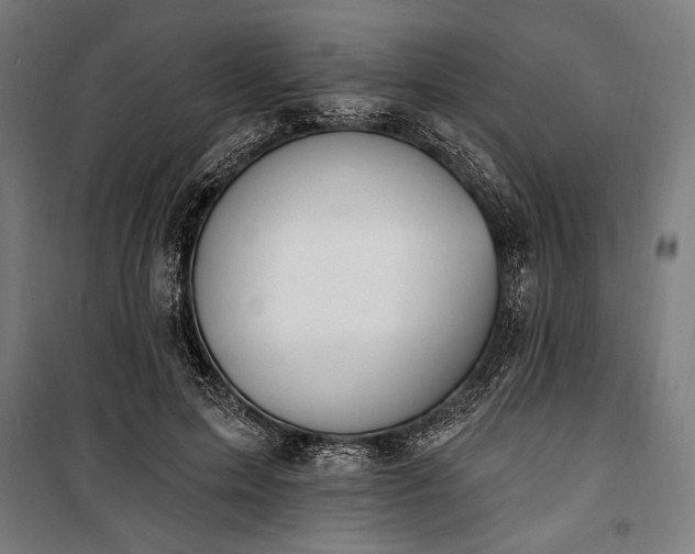 X0000100320599200806121106