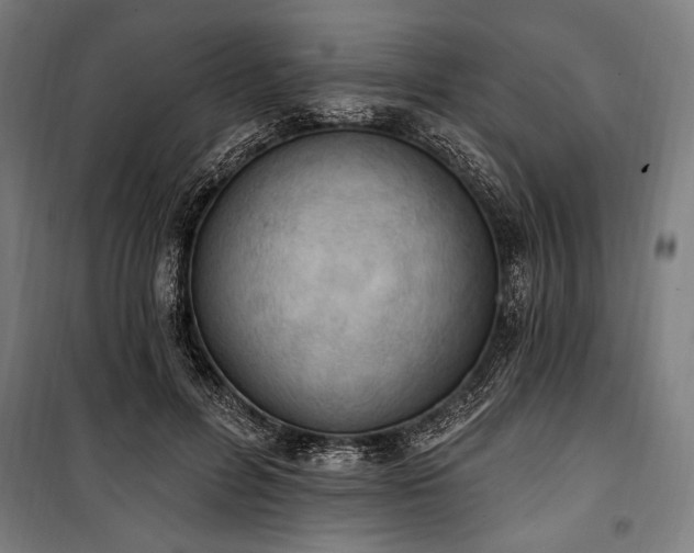 X0000100320600200806121106