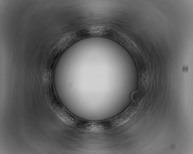 X0000100320601200806121106