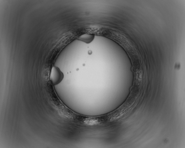 X0000100320602200806121106