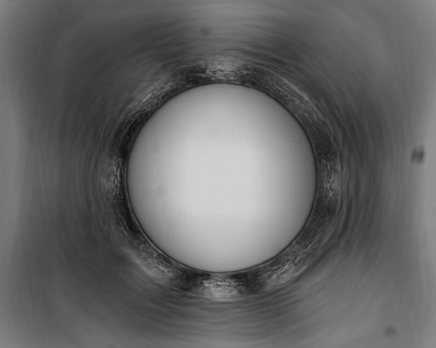 X0000100320603200806121106