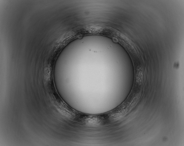 X0000100320604200806121106