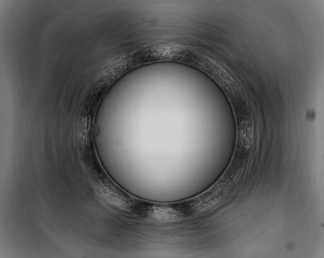 X0000100320605200806121106