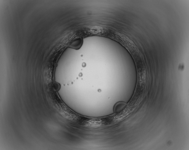 X0000100320606200806121106