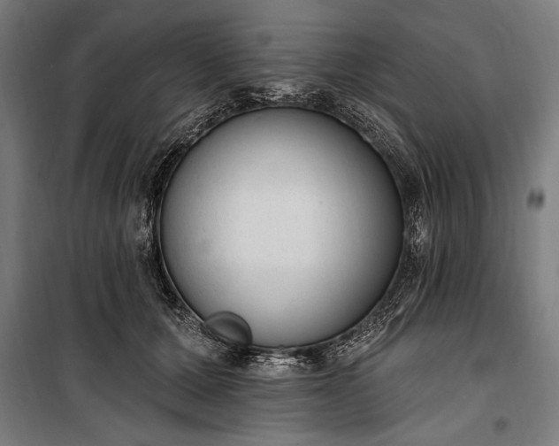 X0000100320607200806121106