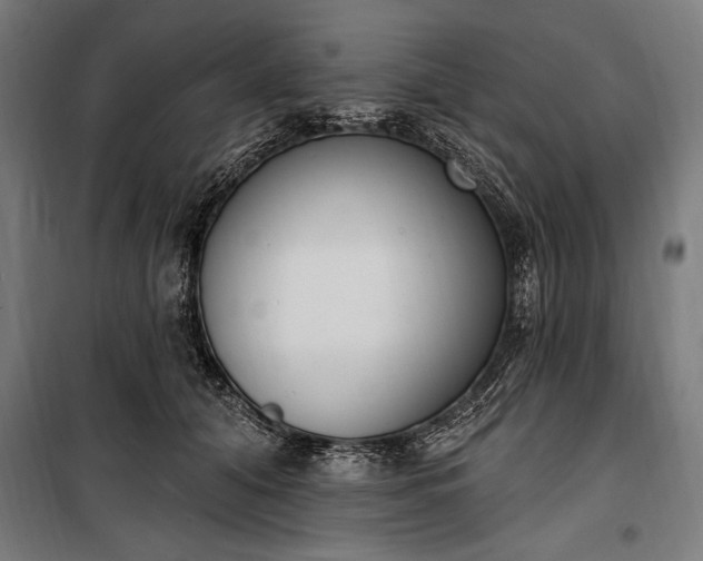 X0000100320608200806121106