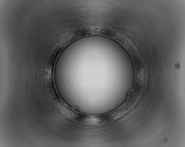 X0000100320610200806121105