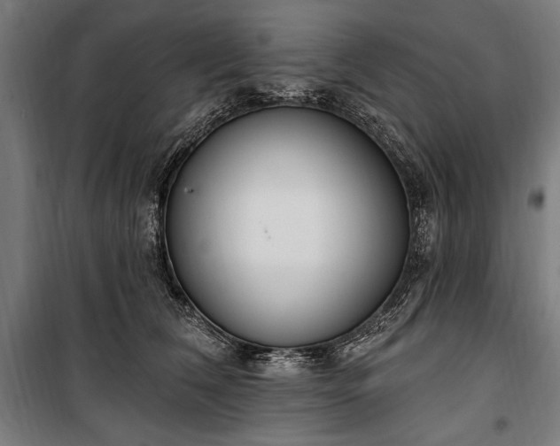 X0000100320612200806121105