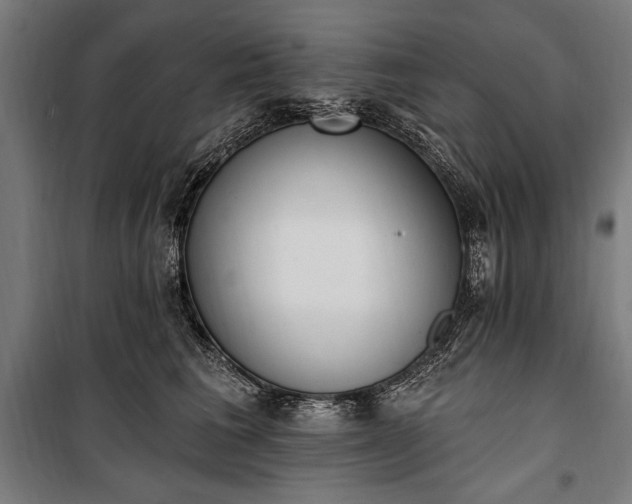 X0000100320613200806121105