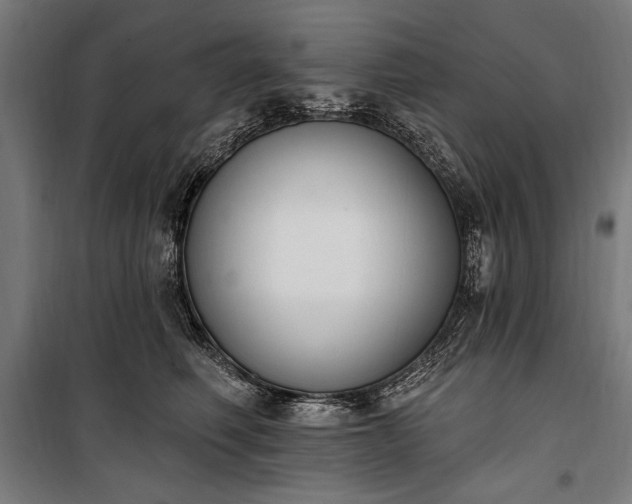 X0000100320614200806121105