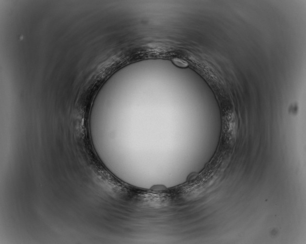 X0000100320615200806121105