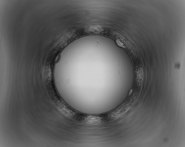 X0000100320617200806121105