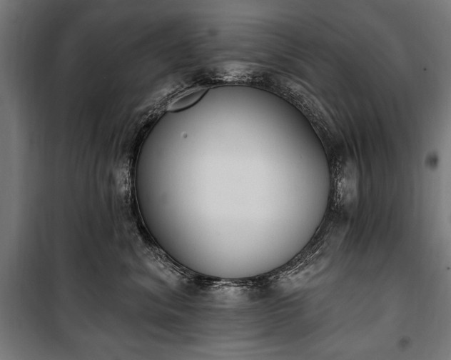 X0000100320620200806121105