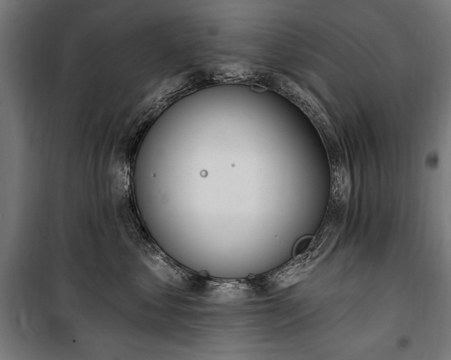 X0000100320621200806121105